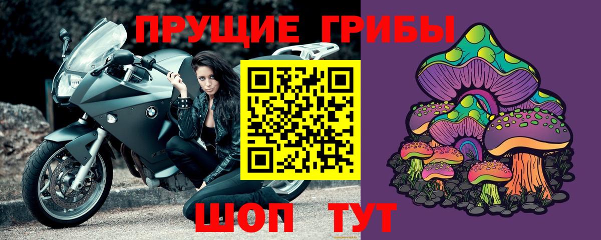 дарнет шоп  Вход с VPN  Чита  Галлюциногенные грибы Psilocybe 